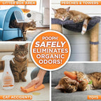 POOPH Kitty Odor Eliminator Spray for Cats, 32 oz - Pack of 2 | Helps eliminate cat odors on furniture, bedding, litter areas, and more. Fragrance-free 32 oz - Pack of 2 spray