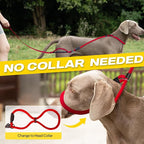Fida 2-in-1 Slip Lead Dog Leash with 2 Handles, 6FT Training Leash, Red | No Collar Needed, Tangle Free, Soft Padded Handles, Traffic Control,Reflective Heavy Duty No Pull Leash for Medium-Large Dogs