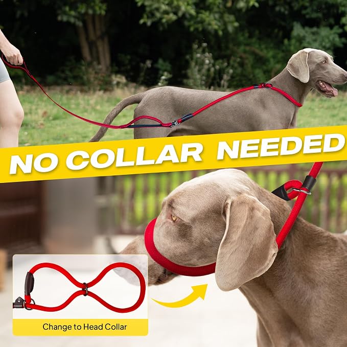 Fida 2-in-1 Slip Lead Dog Leash with 2 Handles, 6FT Training Leash, Red | No Collar Needed, Tangle Free, Soft Padded Handles, Traffic Control,Reflective Heavy Duty No Pull Leash for Medium-Large Dogs