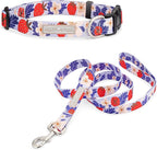Lucky Love Dog - Easy Click Buckle Dog Collar with Leash Set Combo, Durable & Comfortable for Male & Female Dogs, Pet Collar for Small Dogs, Secure Fit - Sweet Berry Combo, Small