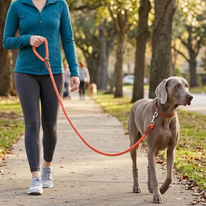 Mile High Life Dog Leash Braided Cotton Rope w/Leather-Wrapped Ends/Handle | Rust-proof 360° swivel clasp, Heavy-duty for medium/large breeds. Great for weddings, daily walks (5 FT, 1/2", Orange)