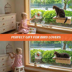 Cat Window Bird Feeder for Indoor Cats, Bird Watching TV for Cats | Clear Acrylic Outdoor Bird Feeding Station with Strong Suction Cups for Enrichment, Mental Stimulation & Boredom Relief