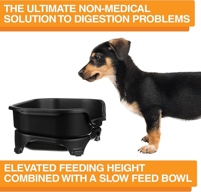 Neater Feeder Express Mess Proof Dog Bowls Elevated for Small Breed – Made in USA – No Spill Raised Slow Feeder Elevated Dog Bowl Stand, Stainless Steel Food and Water Bowl Set, Black