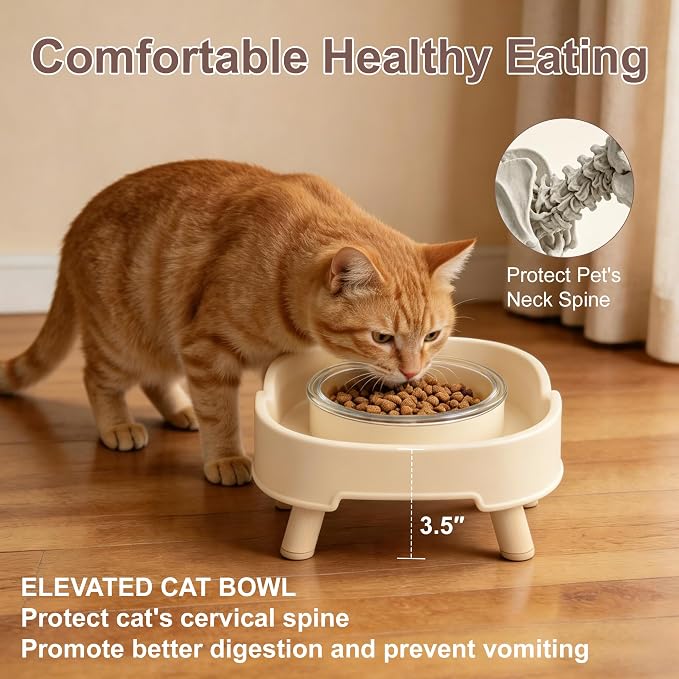 Ant Proof Cat Food Bowl, Elevated Cat Feeding Bowl, Beige, 1pcs | Prevents Ants from Entering and Reduces Neck Stress, Non-Slip Elevated Cat Feeding Bowl