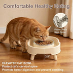 Ant Proof Cat Food Bowl, Elevated Cat Feeding Bowl, Beige, 1pcs | Prevents Ants from Entering and Reduces Neck Stress, Non-Slip Elevated Cat Feeding Bowl