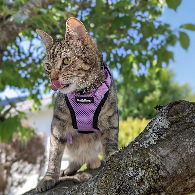 rabbitgoo Cat Harness and Leash Set, Escape Proof Vest, Light Purple | Soft Breathable Mesh, Easy Adjustable Fit, Snap Buckles, Sturdy Clip, Reflective Strips, for Small & Average Cats Walks, Xs