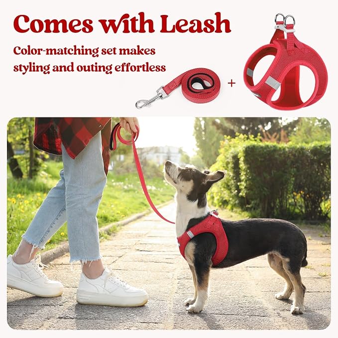 rabbitgoo Dog Harness Small Sized and Leash Set, Step-in Puppy Pet Vest | Light, Soft, Breathable Air Mesh, Easy on and Remove with Hook & Loop, Secure Reflective for Walking, Red XXS