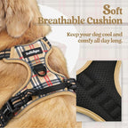 rabbitgoo Dog Harness, No Pull for Small Dogs with 2 Leash Clips, Pet Vest | No Choke with Handle, Adjustable Soft Padded, Reflective, Easy Control for Walking, Beige Plaid, Small