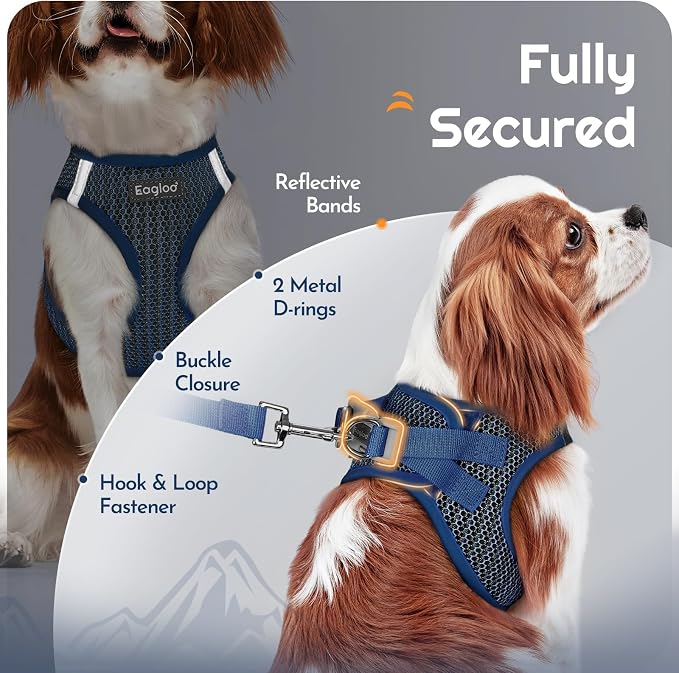 Eagloo Small Dog Harness and Leash Set, Step in Extra Small Puppy Pet Vest | Light, Soft, Breathable Air Mesh, Easy on and off with Hook & Loop, Reflective for Safe Walking, Navy Blue, XXS