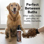 Pride and Groom THE MITT KIT: A Waterless Bath for Dogs - Foaming Dry Shampoo and a Pet Sensitive Glove for a Rinse Free Cleanse and to Eliminate Odor