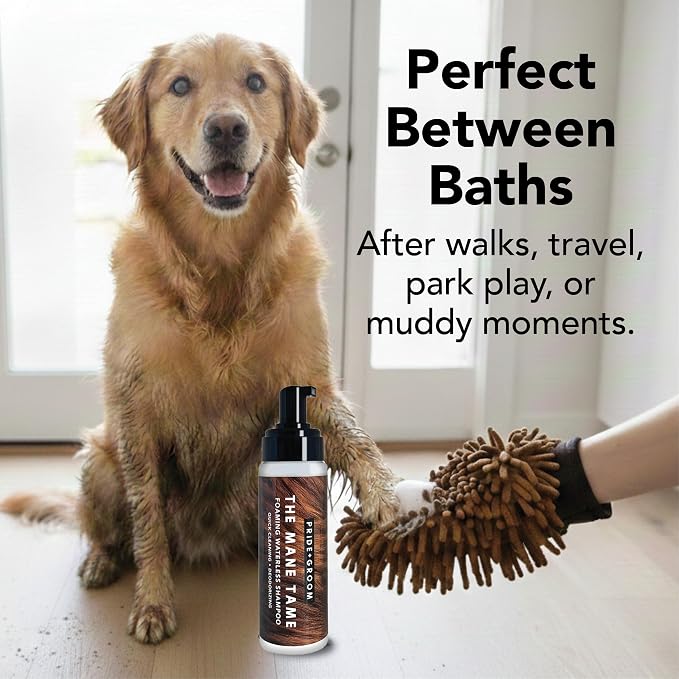 Pride and Groom THE MITT KIT: A Waterless Bath for Dogs - Foaming Dry Shampoo and a Pet Sensitive Glove for a Rinse Free Cleanse and to Eliminate Odor