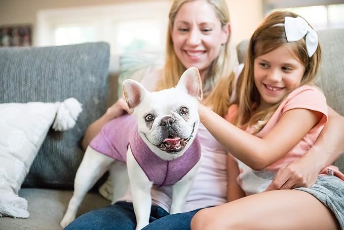 Gold Paw Sun Shield Dog Tee – T-Shirt for Canines – UV Protection, Pet Anxiety Relief, Wound Care – Protects Against Foxtails, Aids Alopecia - Machine Washable, All Season – Size 30 – Violet