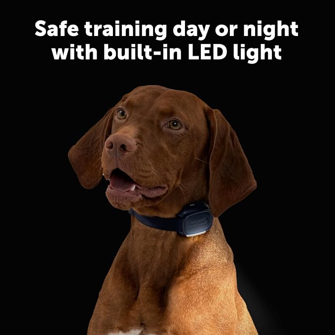 PetSafe Core Trainer Add-A-Dog Collar, 1000 Ft Range, 15 Static Levels | Adds 2nd Dog to Core Dog Remote Trainer, Built-in LED Light, Waterproof, Rechargeable, Fits 10-22in Necks, Collar Only