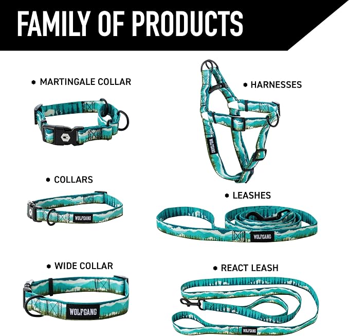 GreatEscape Dog Leash 1" x6'