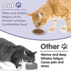 6 Pack Cat Food Bowl, Ceramic Cat Bowls, Anti Whisker Fatigue Cats Bowl Set | 5.5 Inches Shallow Wide Kitten Plates for Food and Water (CaiSe-B)