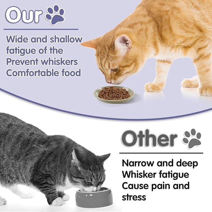 6 Pack Cat Food Bowl, Ceramic Cat Bowls, Anti Whisker Fatigue Cats Bowl Set | 5.5 Inches Shallow Wide Kitten Plates for Food and Water (CaiSe-B)