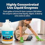 Urine B-Gone Enzyme Cleaner for Human, Cat & Dog Urine, Citrus, 1 Gallon | Enzyme cleaner for human, cat and dog urine on laundry, carpets and more; citrus scent, 1-gallon size.