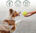 Benebone 4-Pack Ball/Bone/Bacon Wishbone/Fishbone Medium