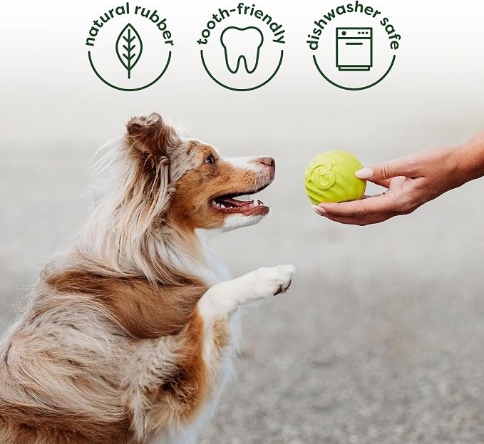Benebone 4-Pack Ball/Bone/Bacon Wishbone/Fishbone Medium