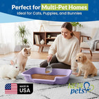 KittyGoHere Senior Cat Litter Box, Large with Jumbo Scoop, Storybook Lavendar
