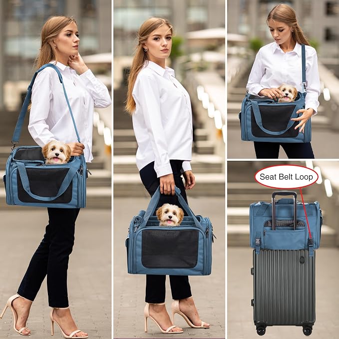 EliteField Deluxe Soft Pet Carrier for Cats and Dogs (3-Year Warranty) | Airline Approved, Waterproof Fabric, Scratch-Resistant Mesh, Expandable Mat, Built-In Leash, Suitcase Sleeve, Seat Belt Loops