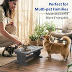 Raised Dog Bowl Stand for Small Sized Breed, Feeding Station with 21 oz 2 Stainless Steel Bowls & Licking Plate,Dog Food Bowl Gray