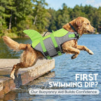 ASENKU Dog Life Jacket - Pet Safety Vest for Swimming & Boating, Shark Life Jacket with Floatation, Dog Lifesavers Swimsuits for Small Medium Large Dogs (Green, L)