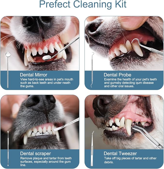 Upgraded Plaque Remover for Teeth, Electric Pet Teeth Cleaning Kit, USB Charging Dog Tooth Brushing Kit, 5 Modes, IPX6 Waterproof Pet Ultrasonic Toothbrush Cleaner for Dogs Cats (Blue)