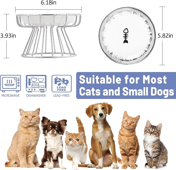 Cat Bowls, Elevated Bowl, Raised Ceramic Dish with Metal Stand, Pet Water or Food Feeding Station for Indoor Cats, Kitten,Dishwash Safe