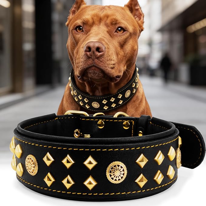 Genuine Leather Dog Collar 2.2 in Wide for Large Dogs Heavy Duty, BK-GD-M | Handcrafted,Stainless Steel Buckle and Alloy Studded,Soft Padded,Fashionable Daily Wear for Large Giant Breed,19.5-23.5 in