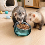 Felli Oblik 15° Tilted Small Animal Bowls for Pet Food & Water 6 oz Stainless Steel Dish Removable, Slanted Metal Plate Feeder for Kitten Puppy Rabbit Bunny Guinchilla Pig (0.75 Cups, Classic)