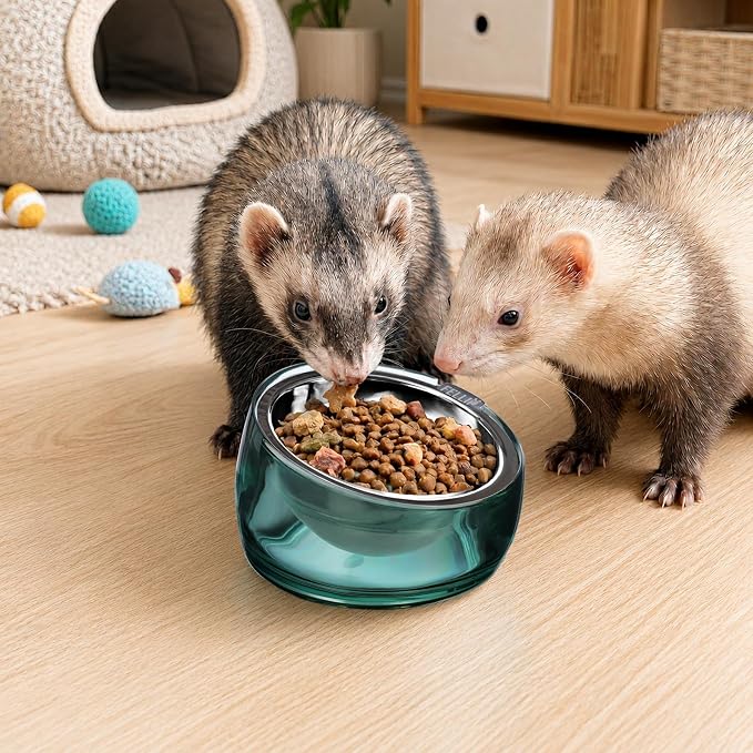 Felli Oblik 15° Tilted Small Animal Bowls for Pet Food & Water 6 oz Stainless Steel Dish Removable, Slanted Metal Plate Feeder for Kitten Puppy Rabbit Bunny Guinchilla Pig (0.75 Cups, Classic)