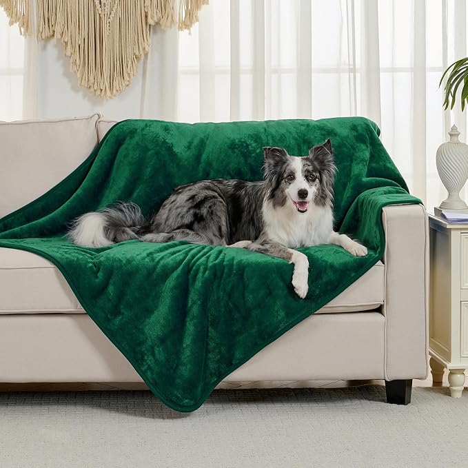 Soft Waterproof Blanket for Bed Couch Sofa, Green, 50x60 inches | Liquid Pee Proof Pet Blanket for Dog Puppy Cat, Reversible Sherpa Fleece Blanket for Couch Cover, Furniture Protector