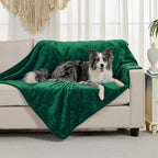 Soft Waterproof Blanket for Bed Couch Sofa, Green, 60x80 inches | Liquid Pee Proof Pet Blanket for Dog Puppy Cat, Reversible Sherpa Fleece Blanket for Couch Cover, Furniture Protector