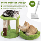 Woochpet 20" Small Cat Tree with 3 Scratching Posts and Perch Bed | Removable Washable Top Cover, Natural Sisal Rope, Compact Design, For Small Cats and Kittens