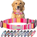 Lucky Love Cute Dog Collar for Girl Dogs - Colorful Stripes, Yellow, Pink, Blue - Large, Molly Collar