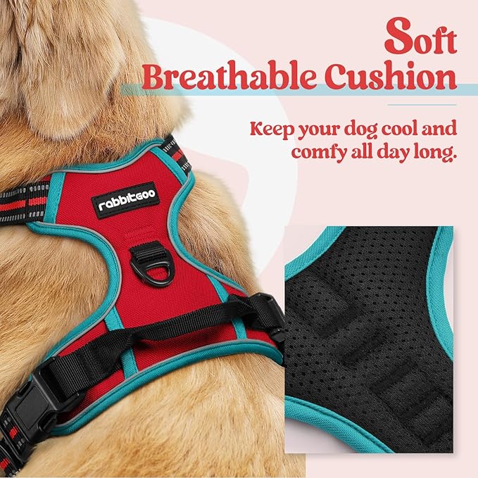 rabbitgoo Dog Harness, No Pull Medium Sized with 2 Leash Clips, Pet Vest | No Choke with Handle, Adjustable Soft Padded, Reflective, Easy Control for Walking, Red & Teal, Medium