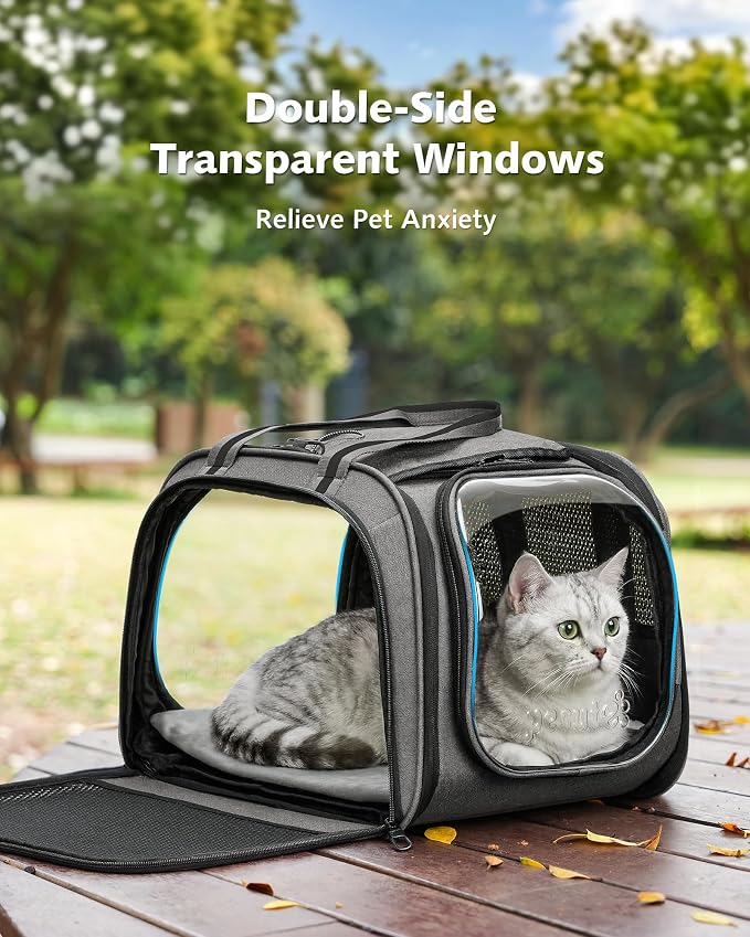 Pecute Cat Carrier with Bubble Window & Sunshade for Dogs Cats, Gray M | Dual bubble windows & top sunshade, 70% more airflow mesh, Impact-resistant stable frame, Locking zippers, Fits up to 11 lbs