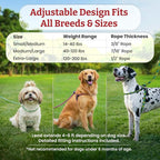 Harness Lead No Pull Dog Harness and Leash Set, Anti Pull Dog Harness for All Breeds and Sizes, One-Piece Cushioned Rope Design Safely Prevents Escaping and Pulling (Medium/Large, Red/Reflective)
