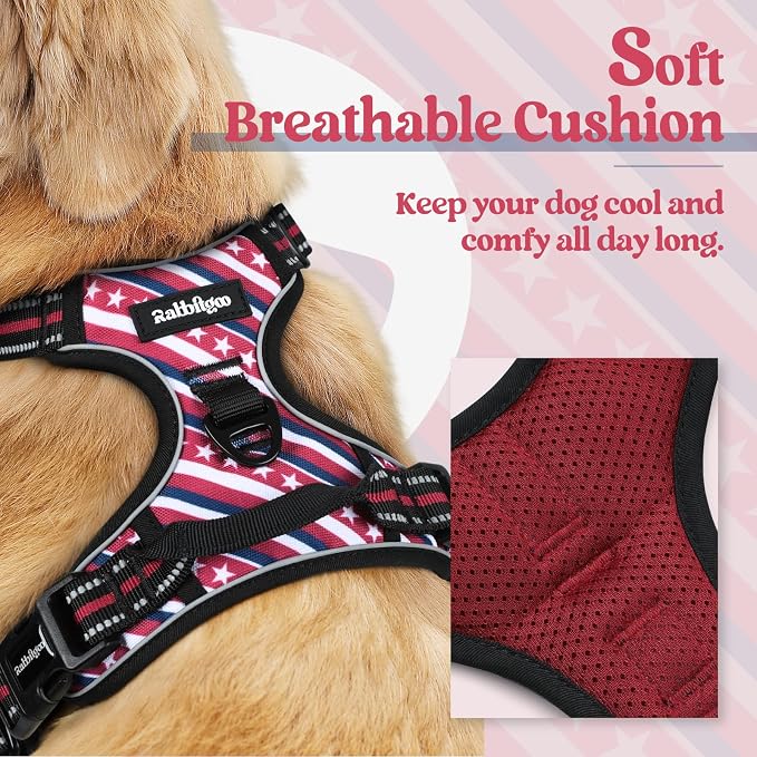 rabbitgoo Dog Harness, No Pull for Small Dogs with 2 Leash Clips, Pet Vest | No Choke with Handle, Adjustable Soft Padded, Reflective, Easy Control for Walking, Red Stripe, Small