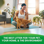 Fresh News Recycled Paper Original Pellet Cat Litter, 12 Pound, Non-Clumping, Unscented, Made in USA