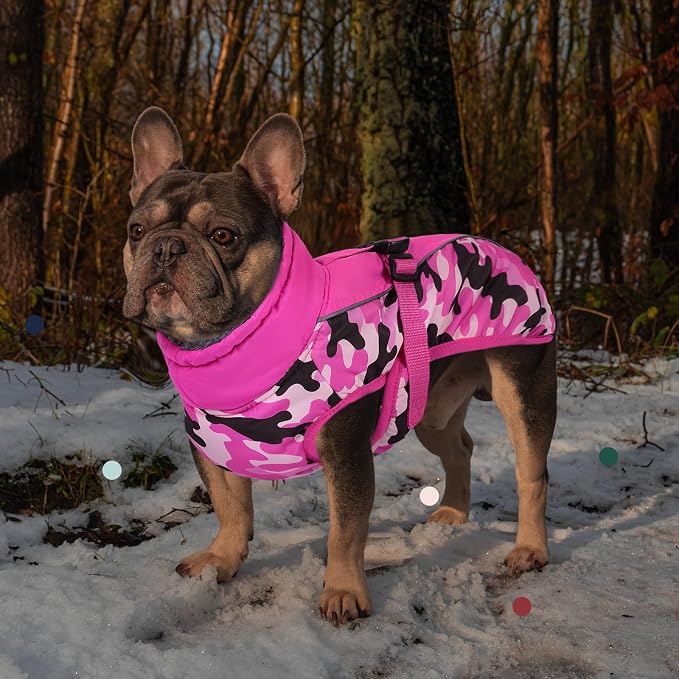 IECOii Extra Warm Dog Coat - Reflective Adjustable Jacket With Buckle Fleece Turtleneck for Cold Weather - Soft Winter Coat for Small Medium Extra Large Dogs