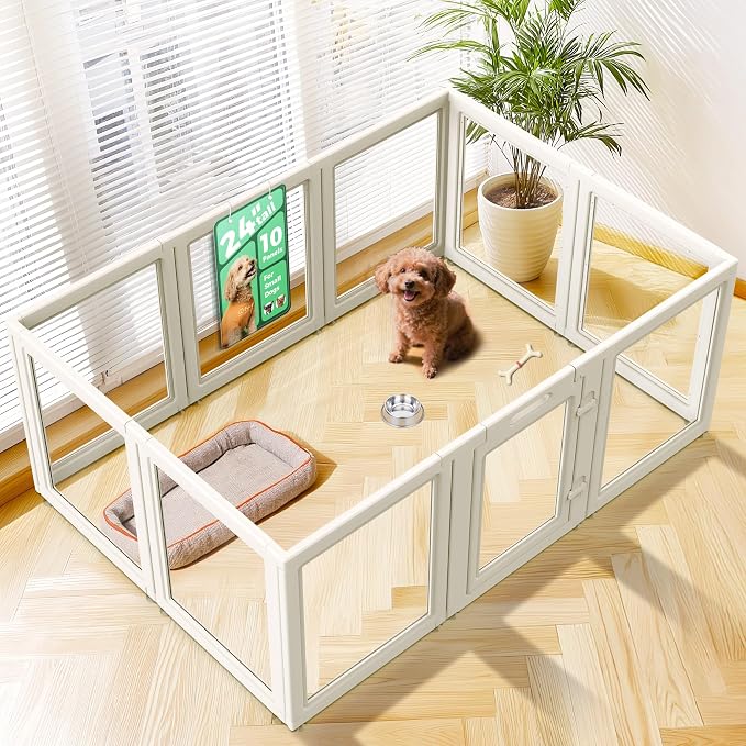 FXW AuraSpace Clear Acrylic Indoor Dog Playpen, 24" H, 10 Panels, White | Open View, Modern Home Fit, No Climbing Bars, Tool-Free Setup, For Puppies & Small Dogs