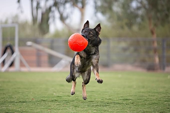 Jolly Pets Large Soccer Ball Floating-Bouncing Dog Toy, 8 inch Diameter, Orange | Large 8 inch durable dog soccer ball for dogs 60 to 90 lbs, won't deflate when punctured, floats for water play, made in USA