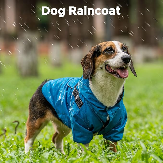 JoyDaog Dog Raincoat with Hood, Waterproof Dog Rain Jacket for Small Dogs | Waterproof dog rain jacket with hood and pockets for rainy walks, outdoor activities and everyday protection,Blue XS