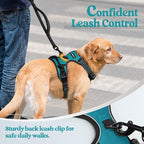 rabbitgoo Dog Harness No Pull with 2 Leash Clips, Adjustable Soft Padded, Reflective Oxford No Choke Pet Vest with Easy Control Handle for Large Dogs, Teal, L | No Choke with Handle, Adjustable Soft Padded, Reflective, Easy Control for Walking, Teal, L...