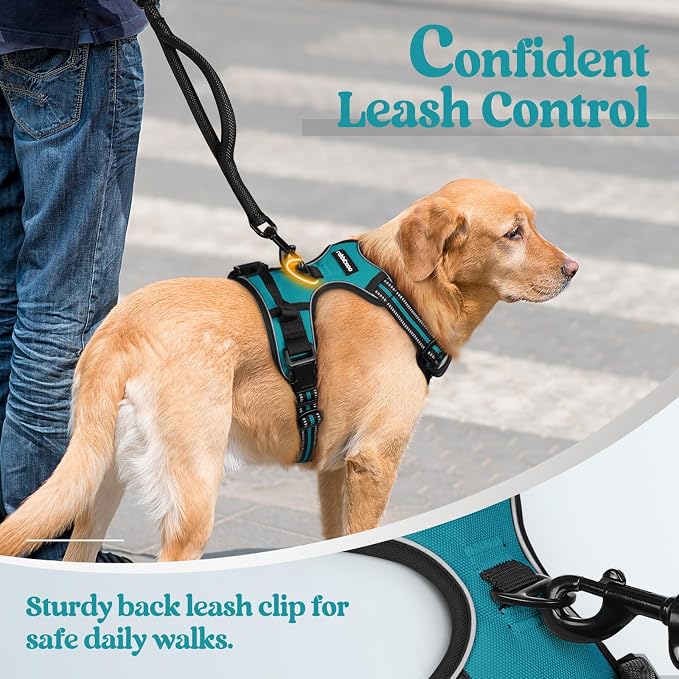 rabbitgoo Dog Harness, No Pull Medium Sized with 2 Leash Clips, Pet Vest | No Choke with Handle, Adjustable Soft Padded, Reflective, Easy Control for Walking, Teal, Medium