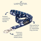 Lucy & Co. Shark Attack Dog Leash - 5-Foot Designer Dog Leash for Small, Medium or Big Dogs or Puppies Puppy - Pet Accessories & Supplies