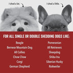 Pride and Groom DogDays Deshedding Dog Shampoo | Fast-Acting Coat Softener & Shedding Control | All-Natural Dog Wash with Essential Oils | Reduces Excess Fur & Dander for Curly & Wavy Coats – 16 oz