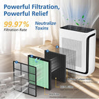 Vital 200S-P Toxin Replacement Filter for LEVOIT Vital 200S Air Purifier | 3-in-1 Filtration with Activated Carbon Vital 200S Filter, Vital 200S-RF-TX(LRF-V201-GUS) for Toxin, Dust, Smoke,2 Pack,Green